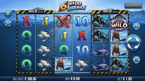 6 Wild Sharks - 4ThePlayer