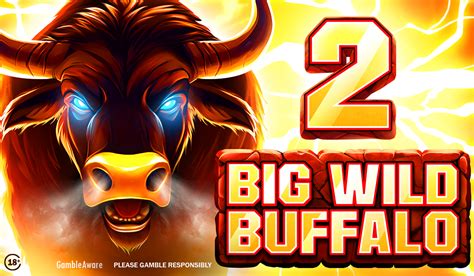 Big Wild Buffalo - Belatra