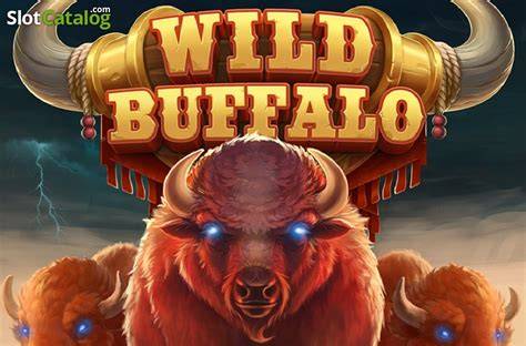 Big Wild Buffalo - Belatra