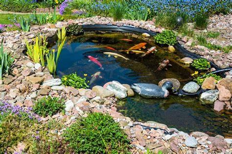 Koi Pond - Pragmatic Play