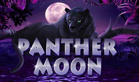 Panther Moon - Funky Games