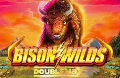Bison Wilds DoubleMax